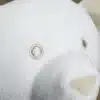 Mon premier doudou Ours