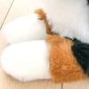 Ma peluche Chien Ferdinand