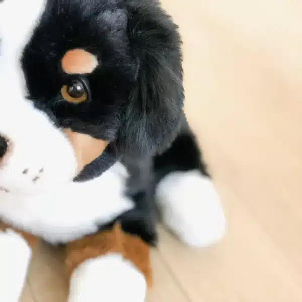 Ma peluche Chien Ferdinand
