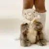 Ma peluche Julie Marmotte
