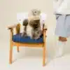 Ma peluche Julie Marmotte