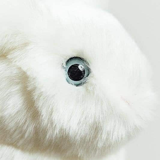 Ma peluche Leon Lapin