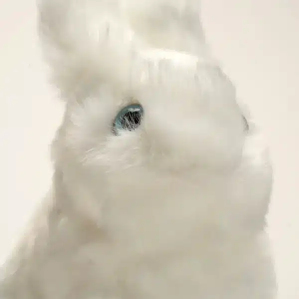 Ma peluche Leon Lapin