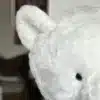 Mon Ours en Peluche Géant