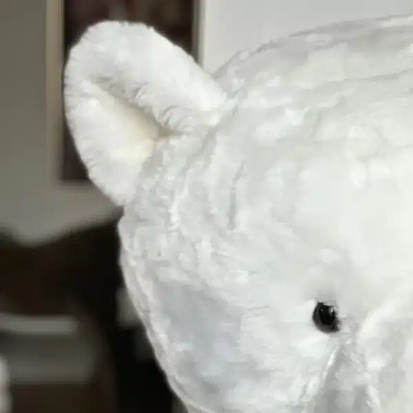 Mon Ours en Peluche Géant