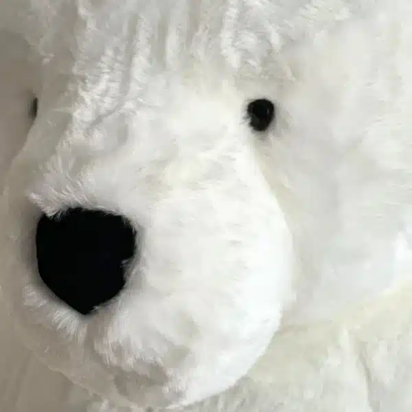 Mon Ours en Peluche Géant