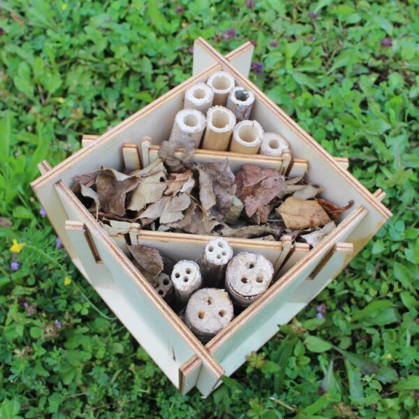 Botaki - Kit insectes