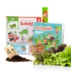 Kit Potager Salade
