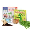 Kit Potager Haricot