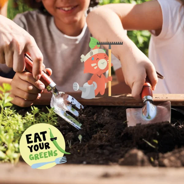 Kit Potager Salade