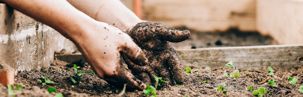 8 activités pour connecter avec la nature