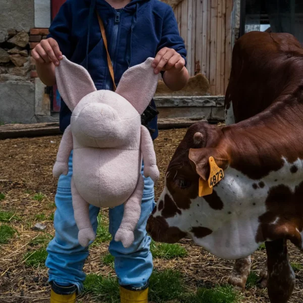 Adada - Helmut le Cochon