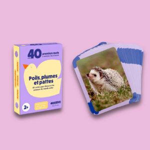 Observe Edition - Cartes Flash